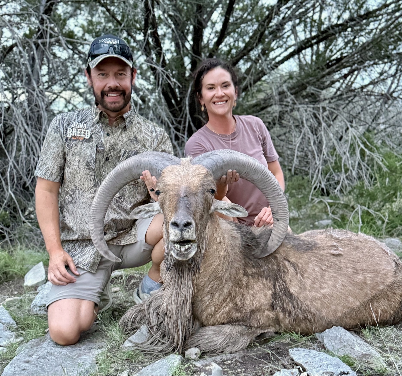 Two hunters with an aoudad in Texas